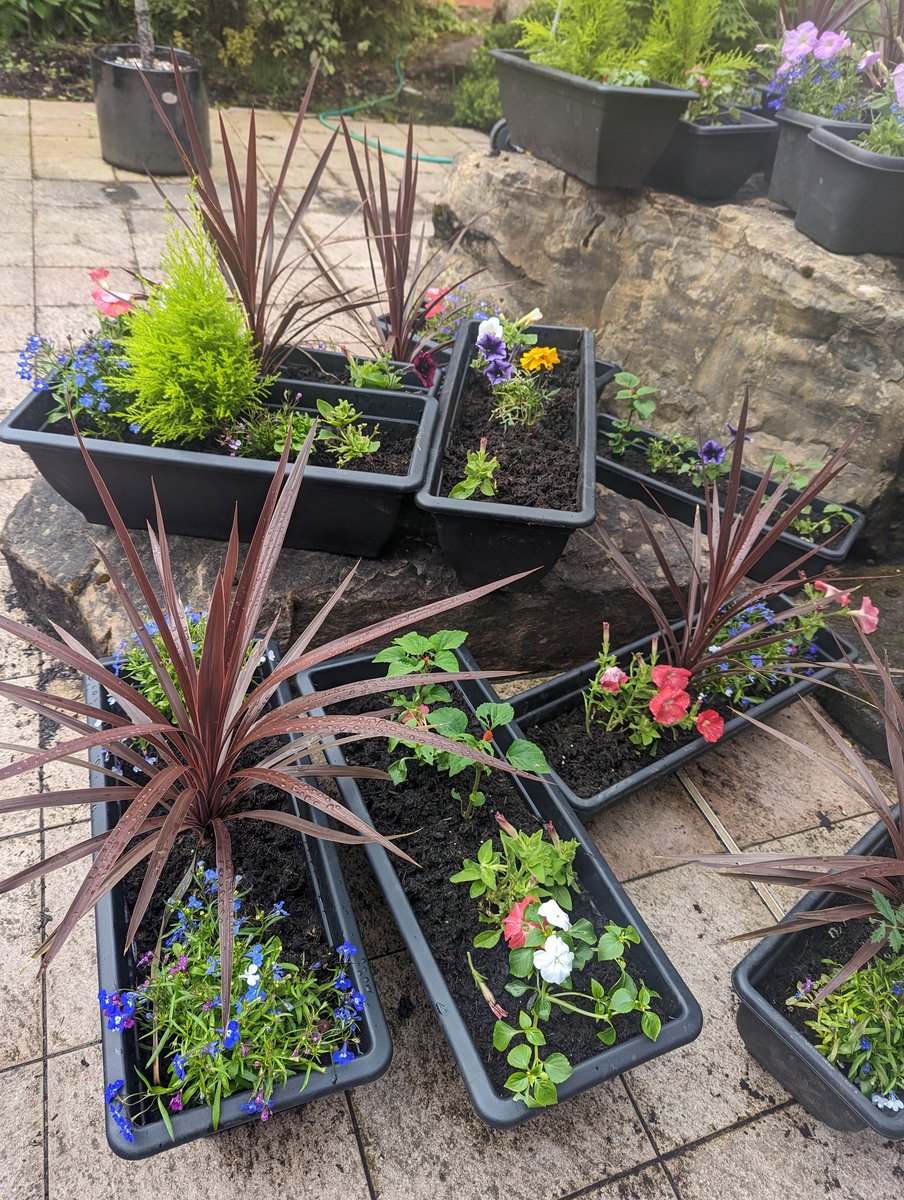 The planters made up by our pupils on the In School programme are looking beautiful ahead of the S6 graduation mass this week. Let us know if you would like to purchase one! <a href="/stninianshigh/">Saint Ninian's</a>