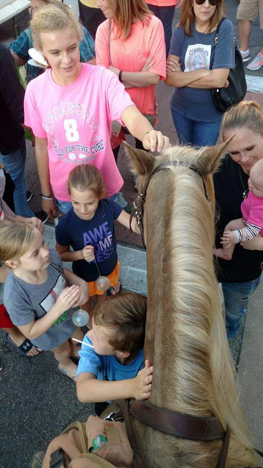 If you love what we do at Diego Ranch for children and veterans, please share our t shirt fundraiser. There are only 5 days left, and we are only a little over half of the way to reach our goal. THIS IS SO IMPORTANT TO OUR PROGRAM. Here is the link for these awesome