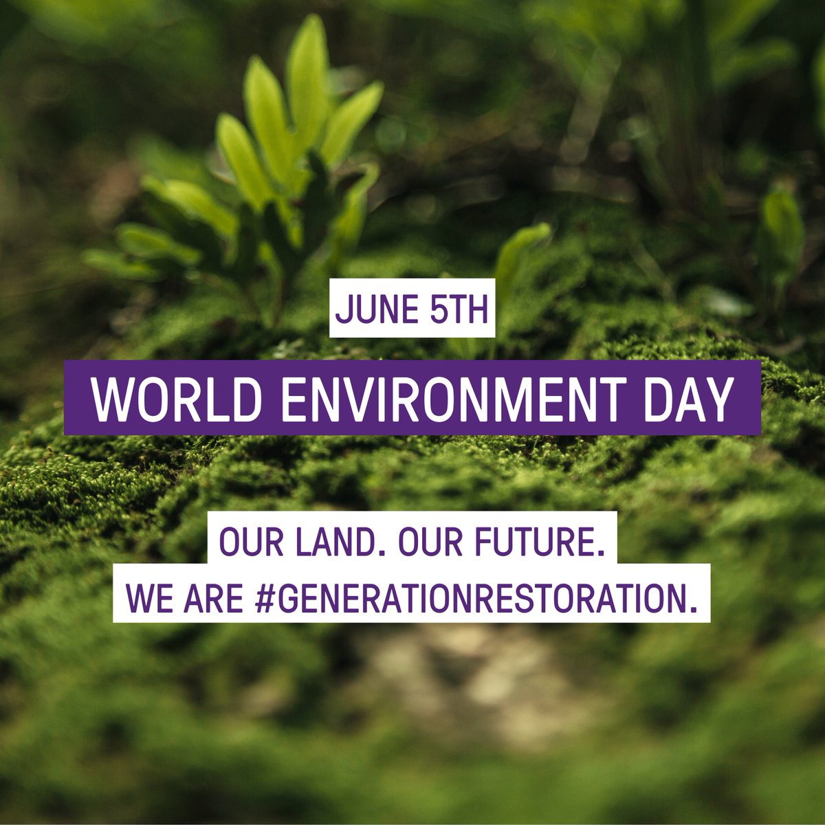 Happy World Environment Day! 🌏

At Breast Cancer Trials we believe in creating a better world for future generations. Whether it’s reducing paper, investing ethically or using an ethical energy supplier, at Breast Cancer Trials we’re doing our best to help fight climate change.