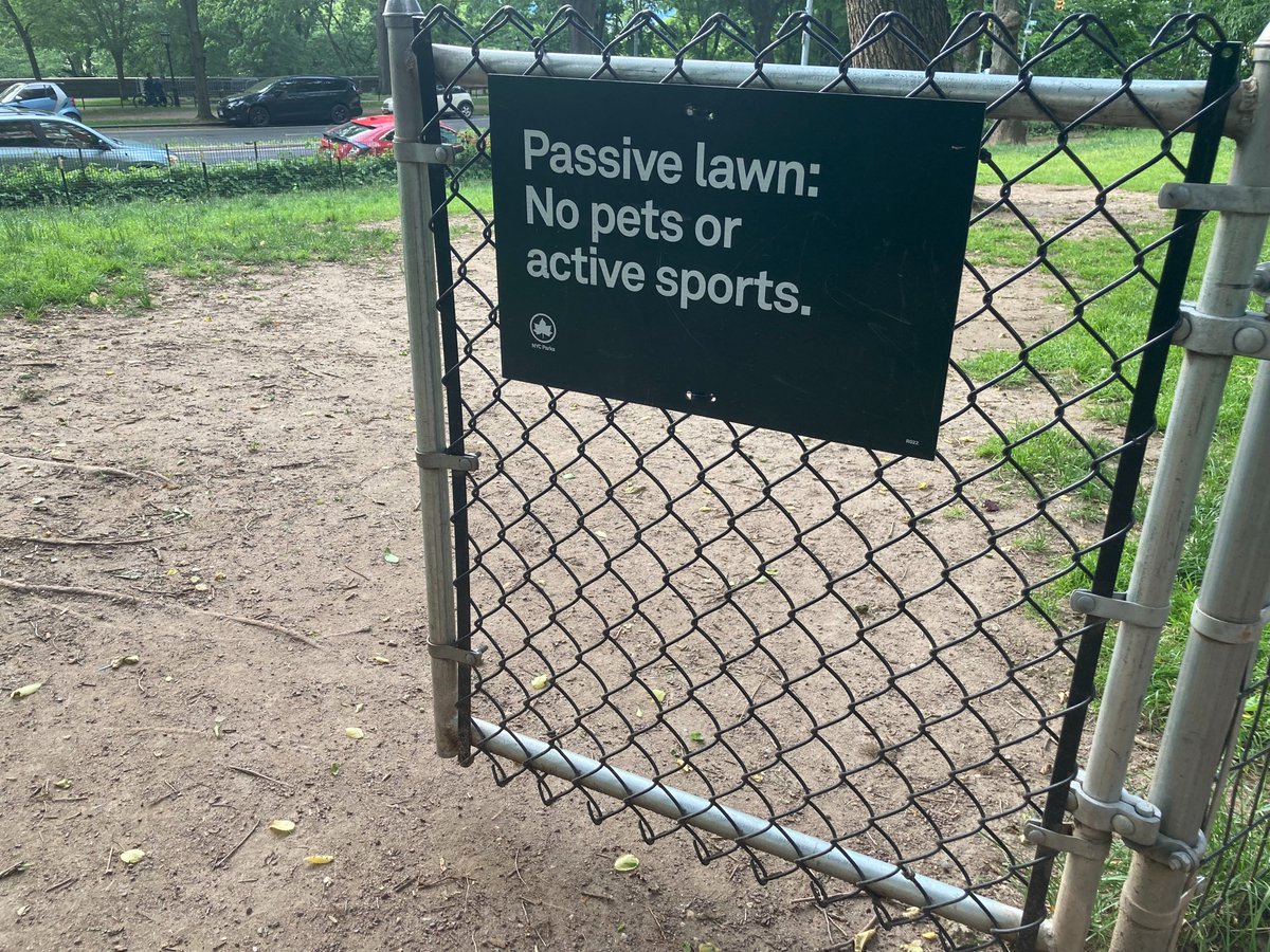 Merriam-Webster tweet media