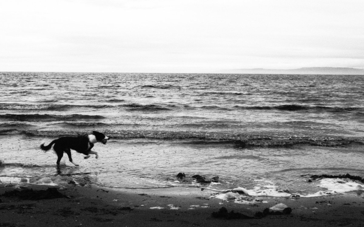83420roylee's tweet photo. go to the beach with classmates

📷: Olympus EM-10 m3 https://t.co/DkOd7zy4I9