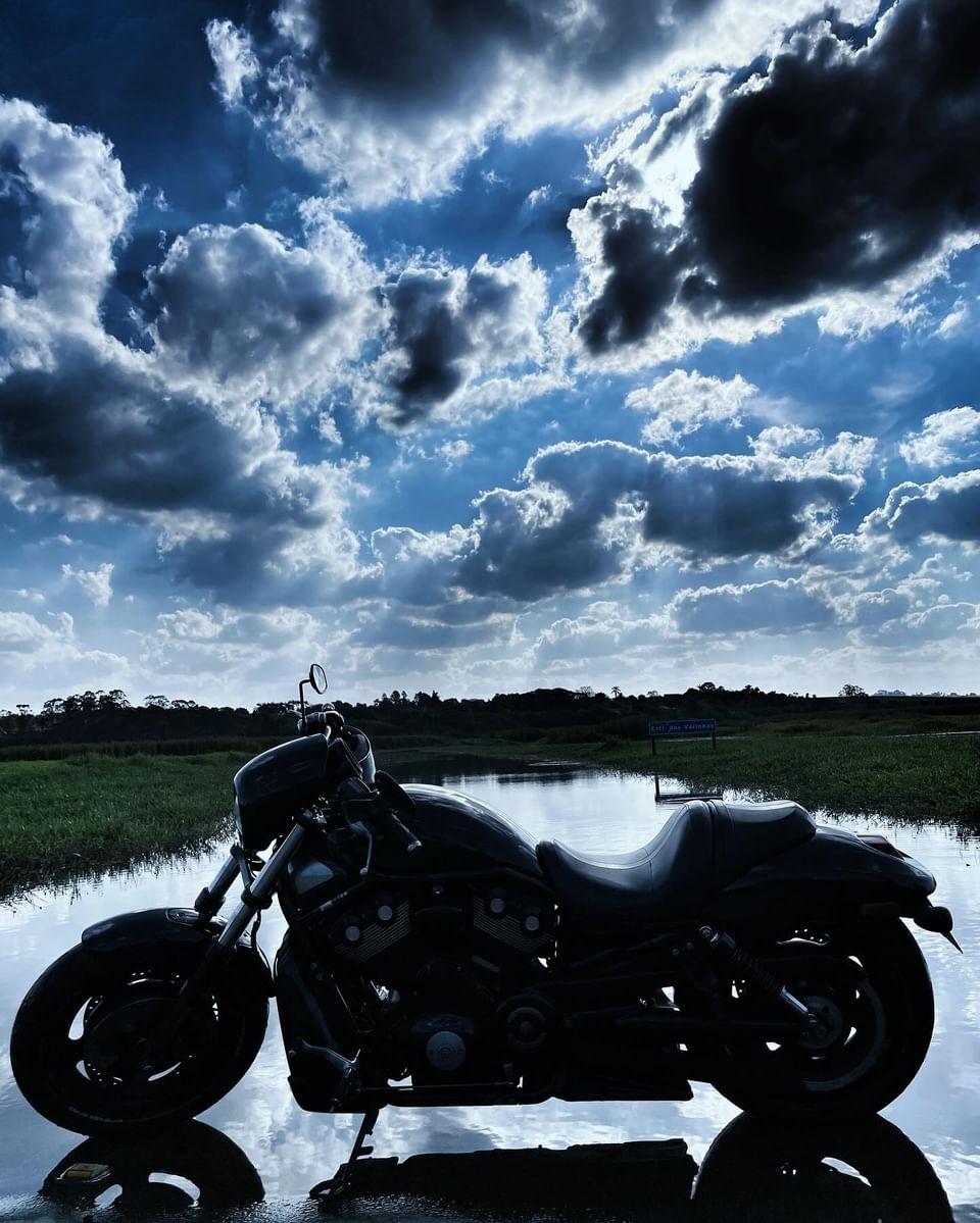 💯Harley Davidson❤️ tweet media