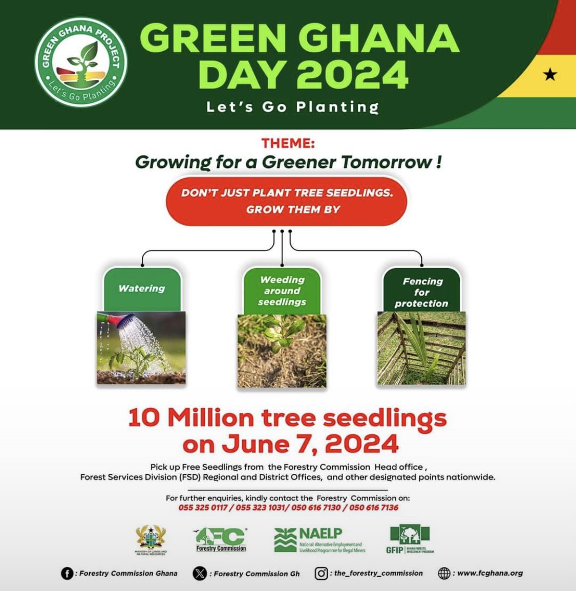 theBrika_boy's tweet photo. Ghana is embarking on a mission to plant 10 million seedlings as a critical step in combating climate change. We urge all citizens to participate in this nationwide reforestation effort to restore our environment and enhance our urban and https://t.co/heeBw4suLA