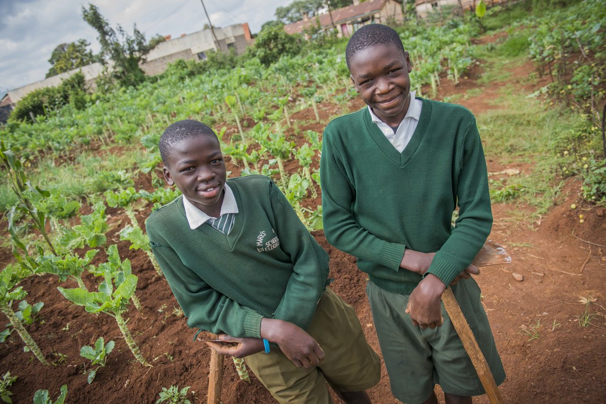 Mary's Meals USA (@marysmealsusa) on Twitter photo On #WorldEnvironmentDay, <a href="/MarysMeals/">Mary’s Meals</a> partners help feed 2.4 million school children & make positive impacts in communities.
🌾Buying locally 🌍Conservation 🌱School gardens
⛽️Fuel efficiency 🤝Community-managed programs
<a href="/COMACO_Zambia/">COMACO - #COMACOWorks🐘</a> <a href="/feedback_mada/">Feedback Madagascar</a> <a href="/breadnoida/">BREAD INDIA</a> <a href="/MFMadagascar/">Money For Madagascar</a> On #WorldEnvironmentDay, <a href="/MarysMeals/">Mary’s Meals</a> partners help feed 2.4 million school children & make positive impacts in communities.
🌾Buying locally 🌍Conservation 🌱School gardens
⛽️Fuel efficiency 🤝Community-managed programs
<a href="/COMACO_Zambia/">COMACO - #COMACOWorks🐘</a> <a href="/feedback_mada/">Feedback Madagascar</a> <a href="/breadnoida/">BREAD INDIA</a> <a href="/MFMadagascar/">Money For Madagascar</a>