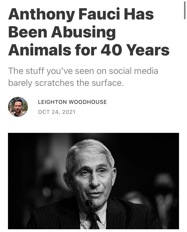 JustinRGoodman's tweet image. Fauci finally admitted to @COVIDSelect that he signed off on disgusting beagle tests exposed by @WhiteCoatWaste

But hes not only a paper pusher. Until he left NIH, he led tests infecting primates w/HIV &amp;amp; other animals w/COVID

Read this @lwoodhouse piece
leightonwoodhouse.substack.com/p/anthony-fauc…