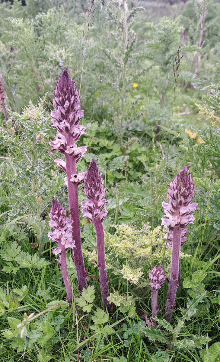 Andrew Cleave tweet media