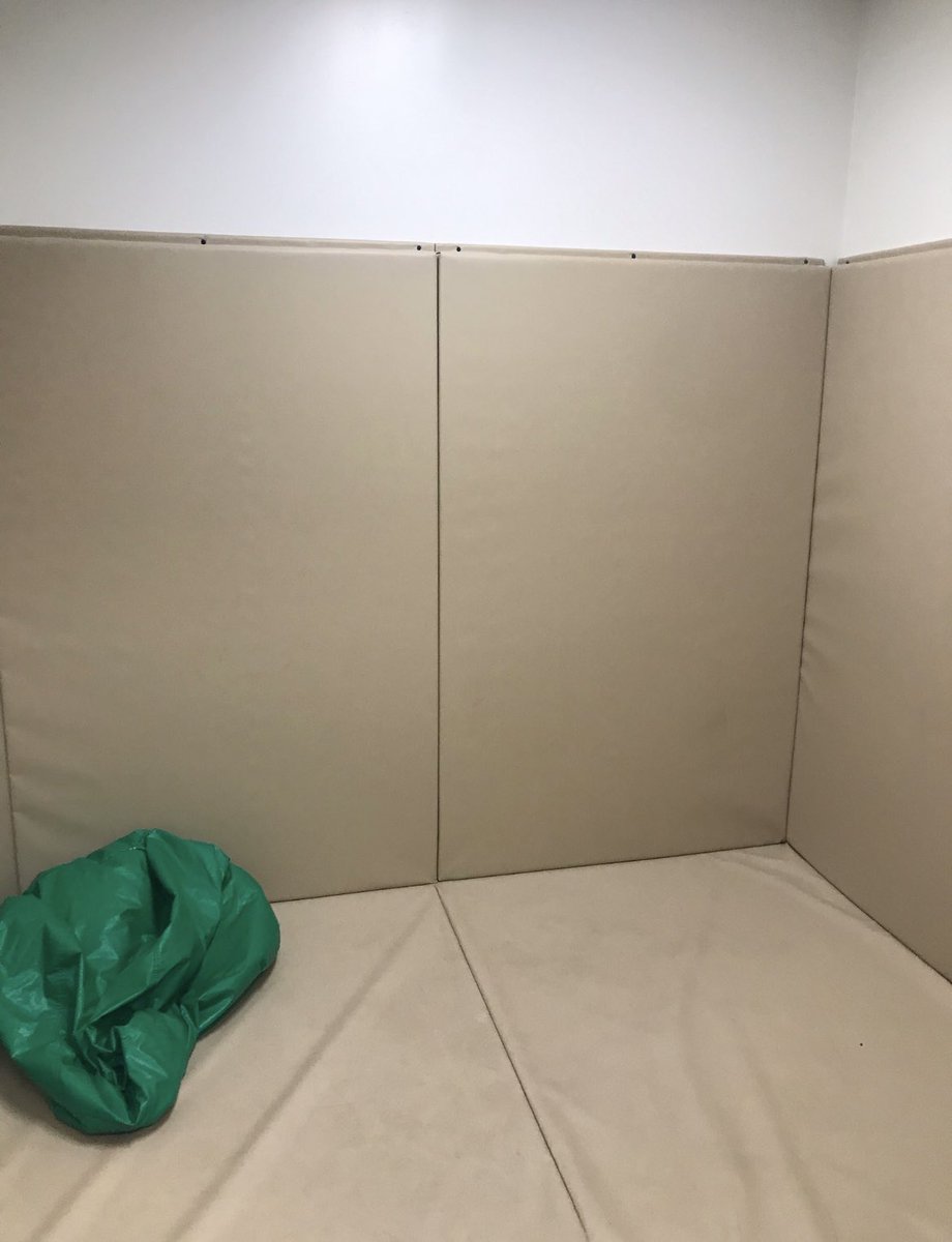 Cynthia Mulligan (@citycynthia) on Twitter photo New: this photo shows the sensory room where 16 year old Landyn Ferris was found unresponsive.  He was pronounced dead in hospital. His mother says she told the school he could not be left alone because he suffered from epileptic seizures.  (Reposting w photo) #onpoli New: this photo shows the sensory room where 16 year old Landyn Ferris was found unresponsive.  He was pronounced dead in hospital. His mother says she told the school he could not be left alone because he suffered from epileptic seizures.  (Reposting w photo) #onpoli