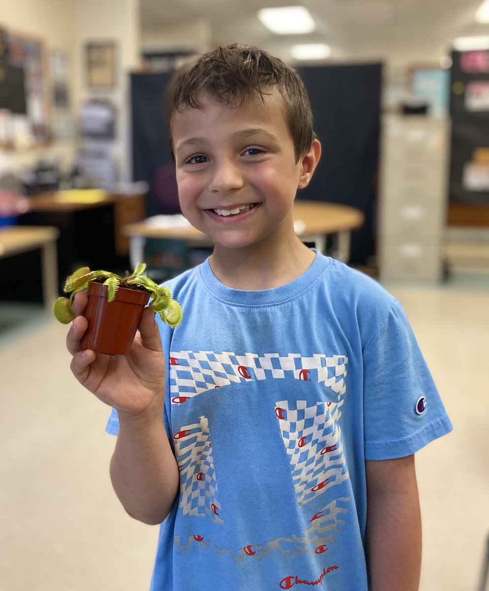 Ali shared many amazing facts about his carnivorous Venus flytrap plant. #science <a href="/Glade_Gators/">ForestGladeGators</a> <a href="/MsAwender/">Ms Awender</a>
