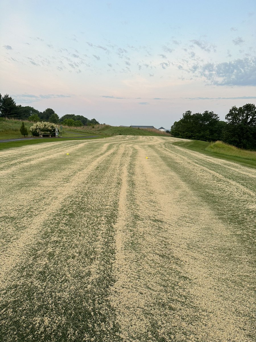 OGCgrounds's tweet image. Better late than never! Tees getting a heavy coating of sand a “few” days after aeration. Should make for a nice surface heading into summer! @Gmanos86