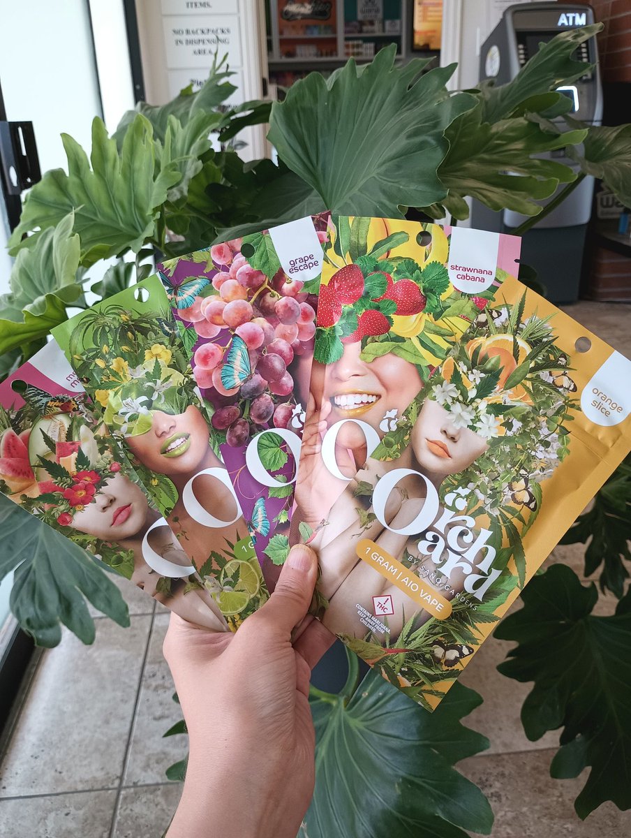 Summertime Vibes 🏖️🌼🏝️🍍 <a href="/sanogardens/">Sano Gardens</a>