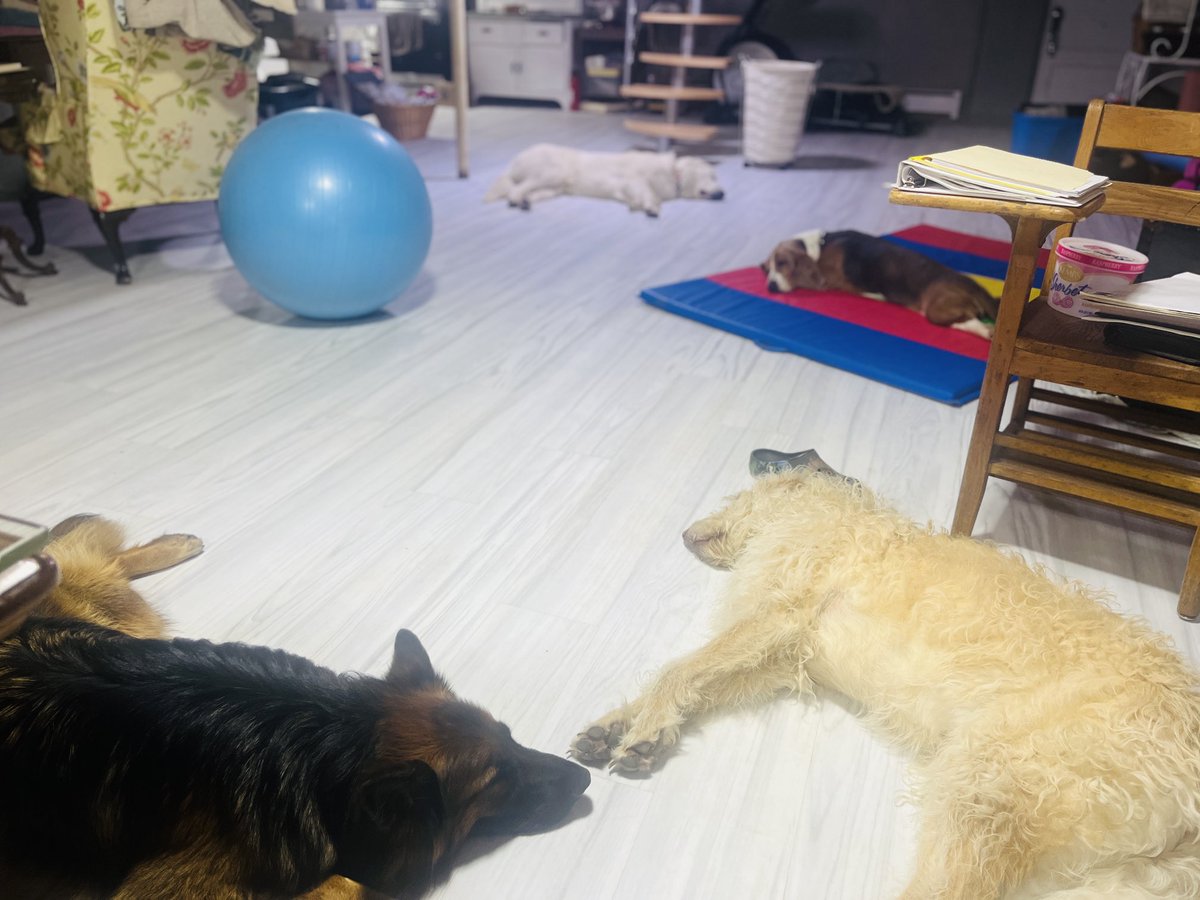 How you handle a hot humid day…#basementsarethebest