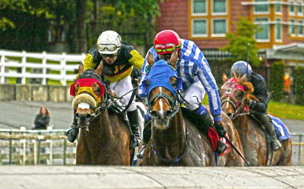🚨 ENTRY ALERT - FINDING WAYS! 🚨

The Hastings Racing Club is back in action this Friday evening as Finding Ways looks to make it a hattrick of wins to kick off the 2024 season! 

Come and cheer our gelding on! Entrance is free and the 1st race is at 7:00pm!

📷 Michael Bye
