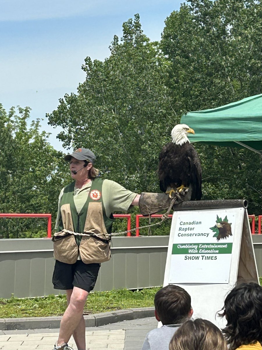 Mrs. Lampman 🌻💜 tweet media