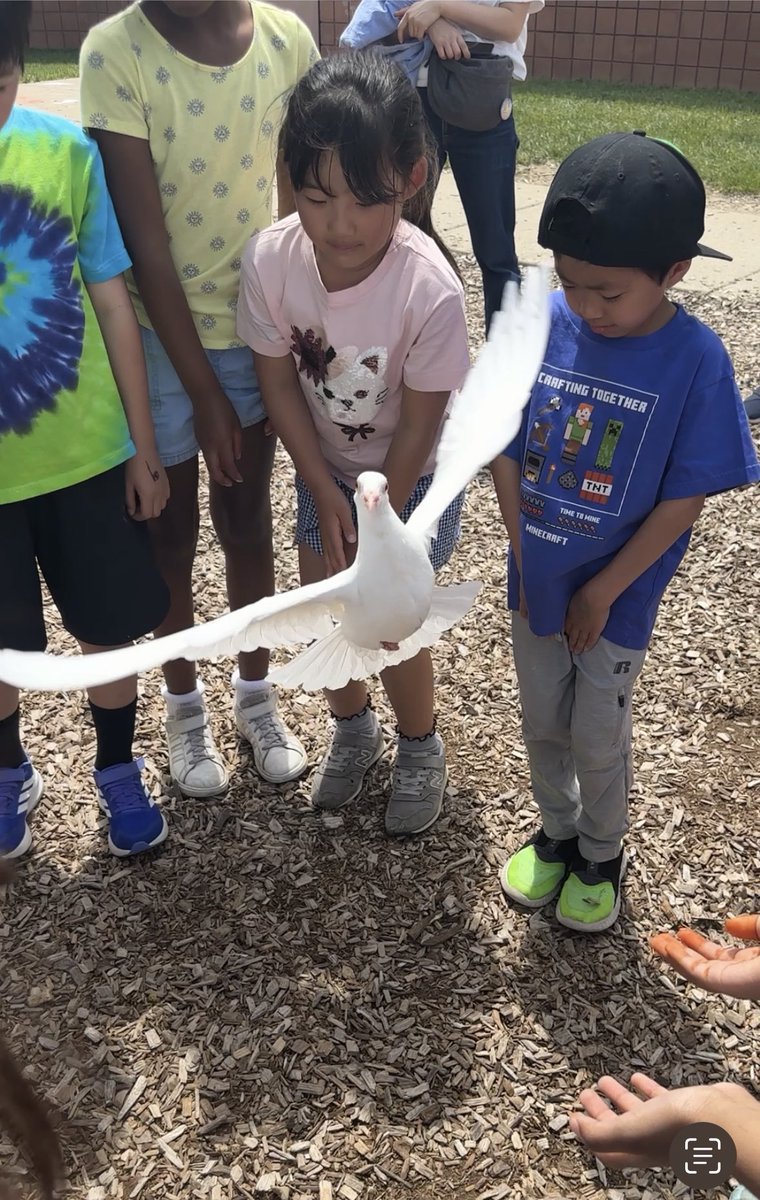 Musa2nd's tweet image. What a fun day! Field Day!! @NoviParkview