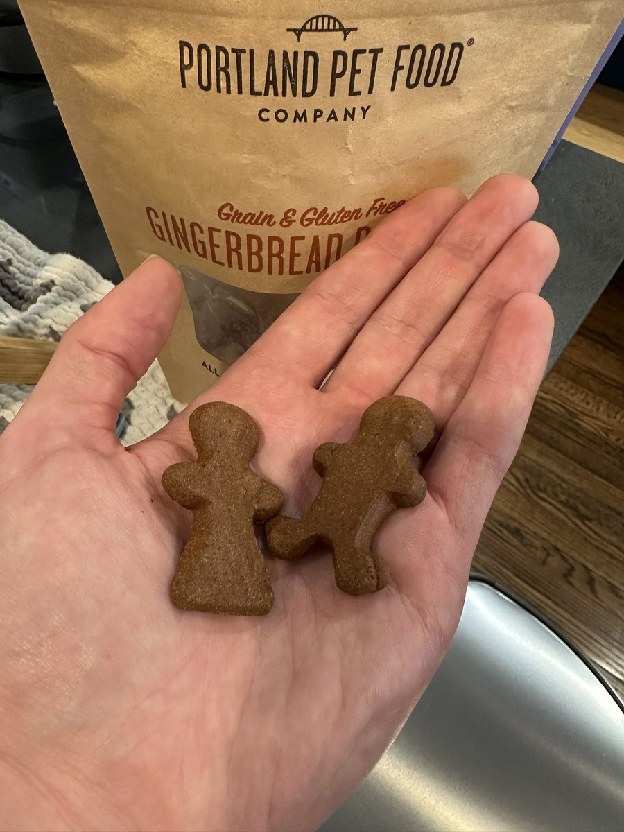 Cguastini's tweet photo. My dog’s treats are ginger-fluid. https://t.co/WOY0uza0WI
