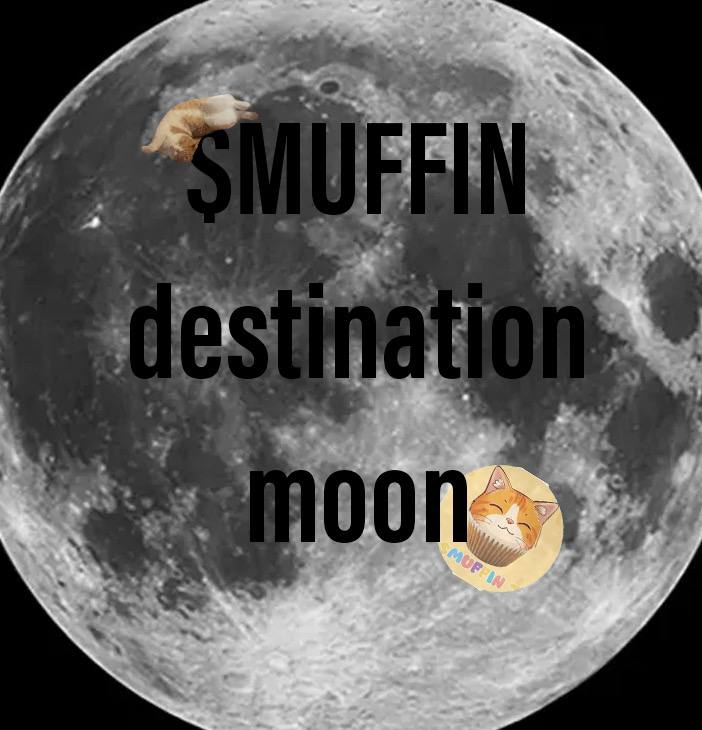 MUFFINCATonSOL's tweet photo. First STOP - Moon !!! $Muffin  community are  ready to take off https://t.co/EWZ7DMfYdw