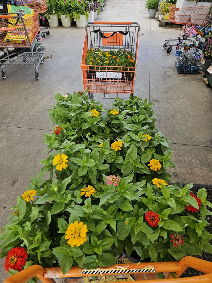 Gary Murphy tweet media