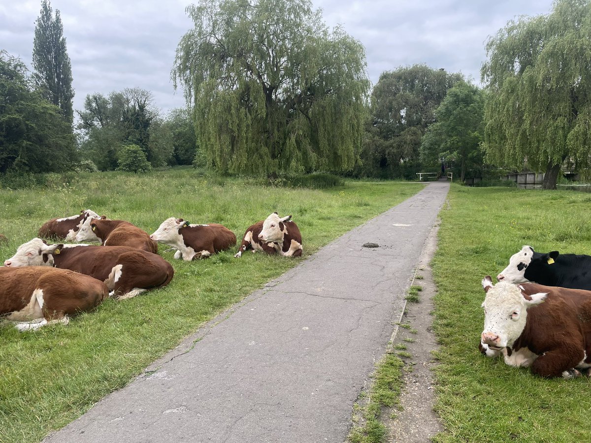 Peter Studdert tweet media