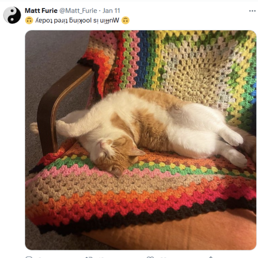 MUFFINCATonSOL's tweet photo. @IcedKnife under 10k https://t.co/wzIRzIu4Fo