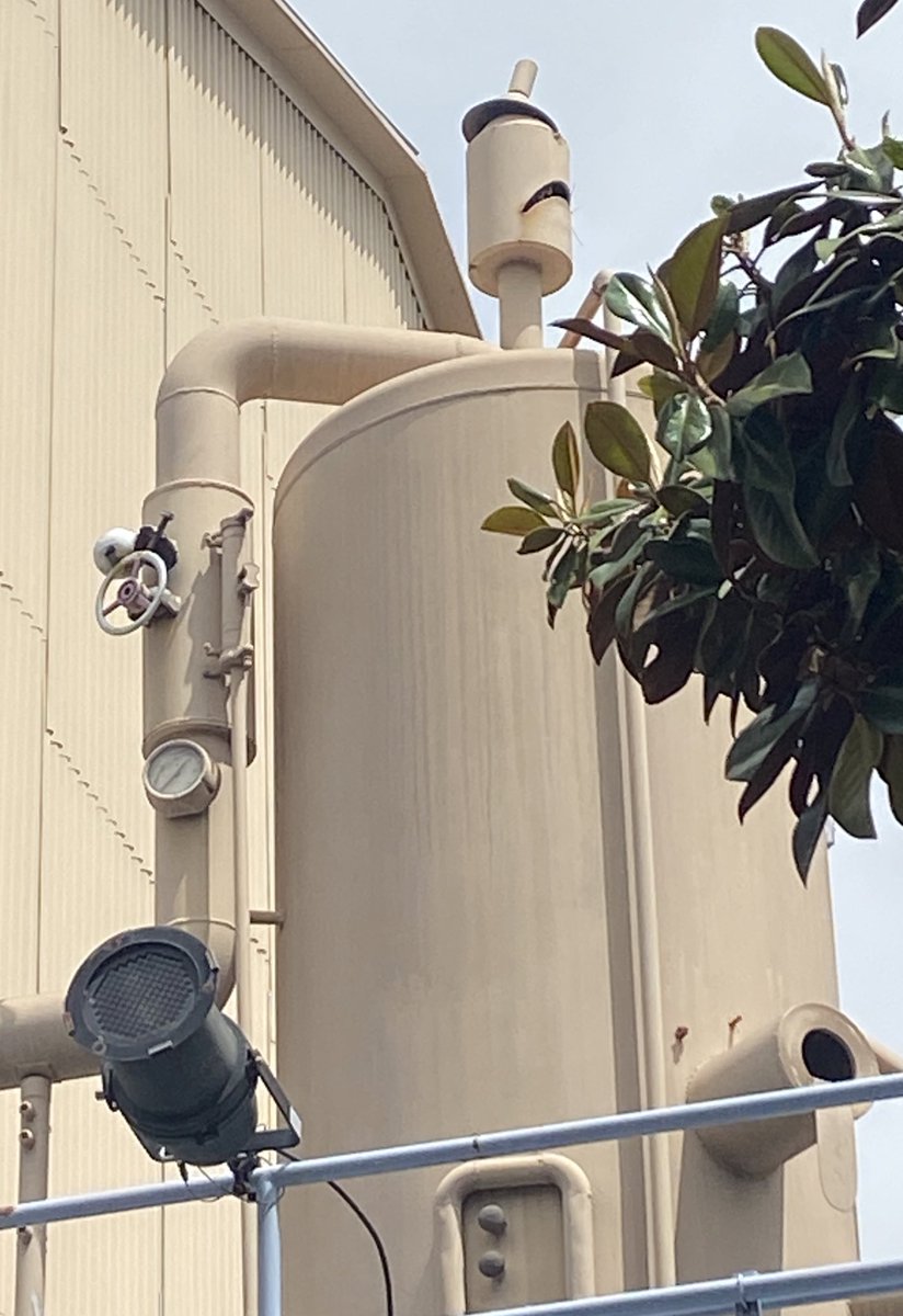 I see you, remnants of DCA MuppetVision. We speak your name.