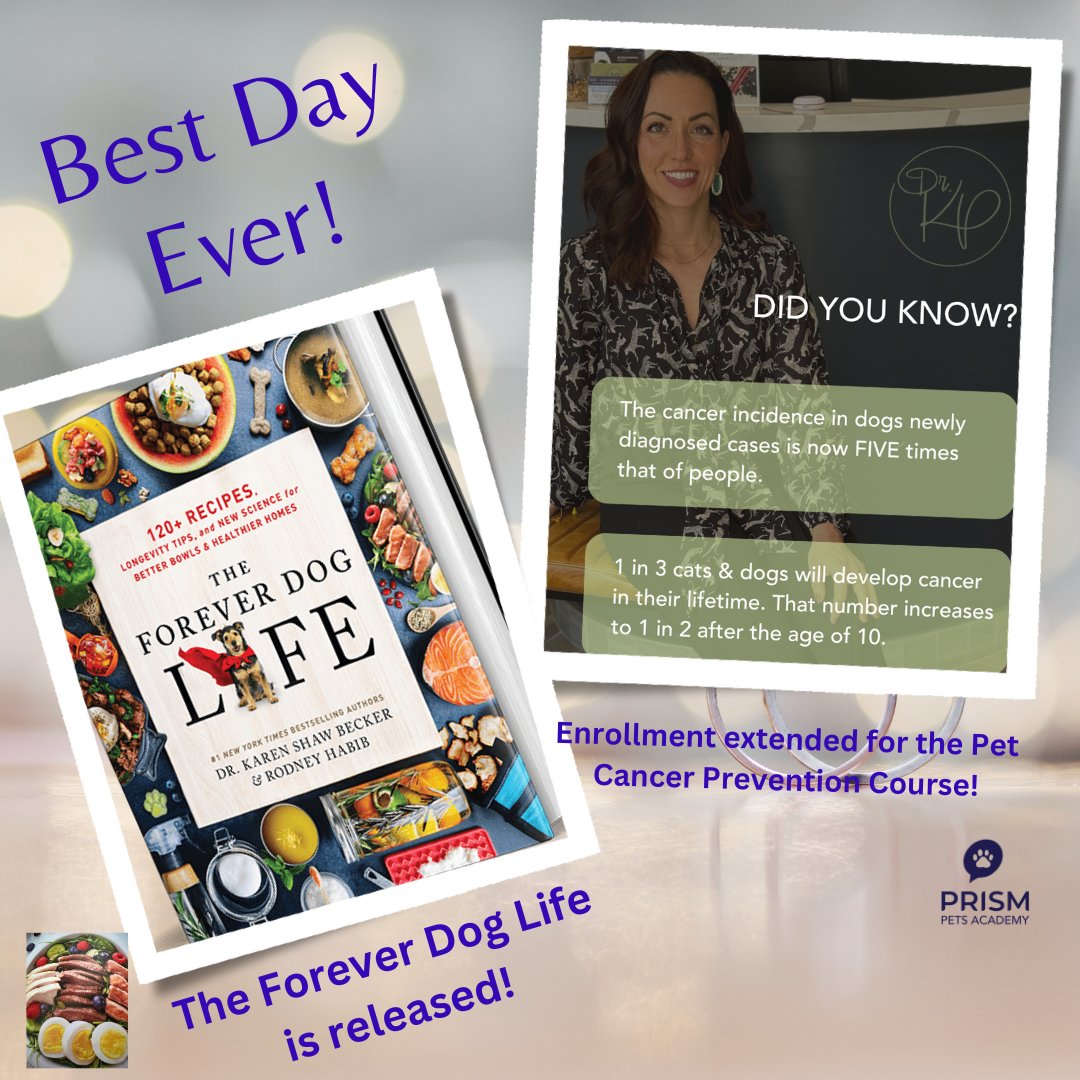 What a great day for pets! The Forever Dog Life book is released, and there are TWO extra days to sign up for Dr. Kendra Pope's Pet Cancer Prevention course! Visit tinyurl.com/24v2tquu for all the details.
