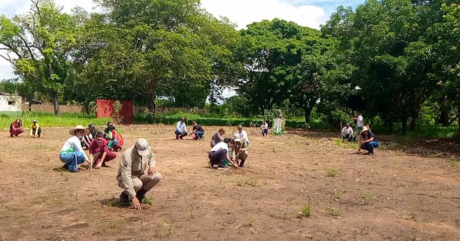 Desde el municipio Angostura del Orinoco, el Instituto Nacional de Parques participó en una jornada desarrollada en el marco del 18 Aniversario de la "Misión Árbol", específicamente en el Parque Dalla Costa con la siembra de 300 plantas forestales de distintas especies.