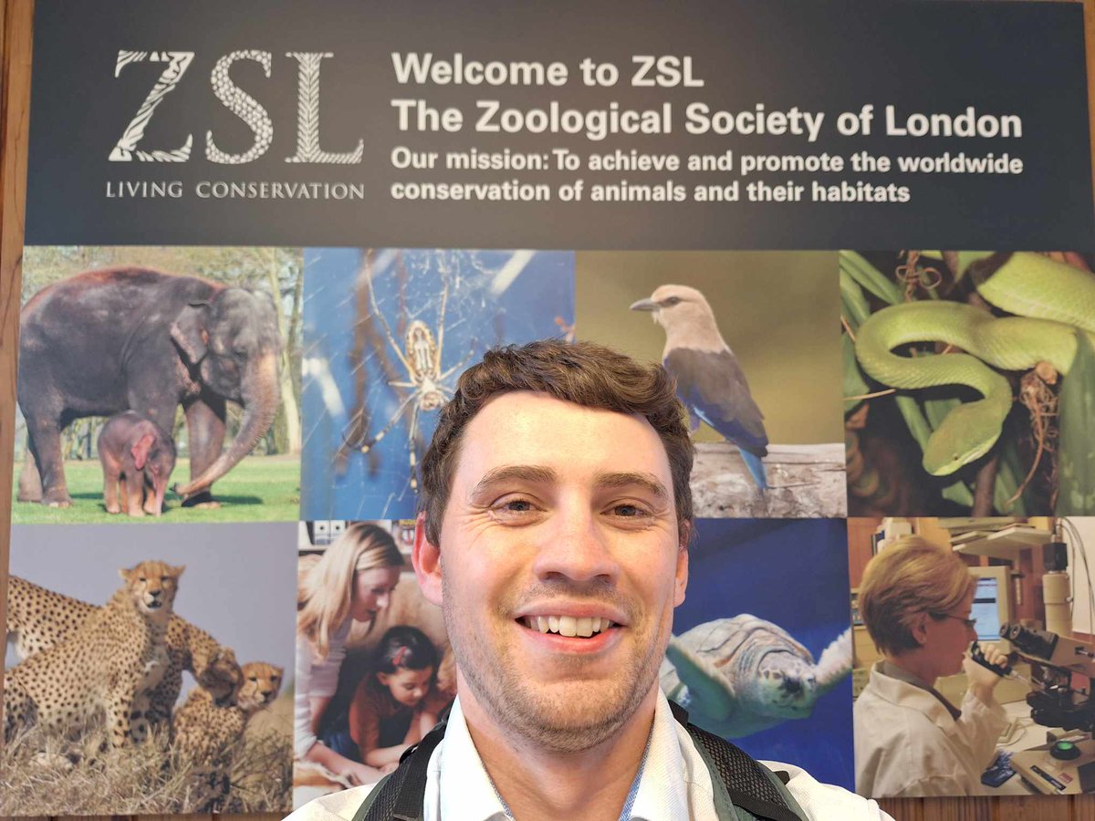 Daniel Montgomery, PhD (@danwmont) on Twitter photo Happy to share i'm joining <a href="/ProjectSIARC/">SIARC</a> and <a href="/OceanPredatorLb/">Ocean Predator Lab</a> investigating movements + ecology of tope in <a href="/ACA_PLAS_SAC/">Pen Llŷn a'r Sarnau</a>! A detour from lab physiology but excited to build new skills and contribute to conservation of endangered UK sharks 🦈 #trackingnotslacking #sharkscience Happy to share i'm joining <a href="/ProjectSIARC/">SIARC</a> and <a href="/OceanPredatorLb/">Ocean Predator Lab</a> investigating movements + ecology of tope in <a href="/ACA_PLAS_SAC/">Pen Llŷn a'r Sarnau</a>! A detour from lab physiology but excited to build new skills and contribute to conservation of endangered UK sharks 🦈 #trackingnotslacking #sharkscience