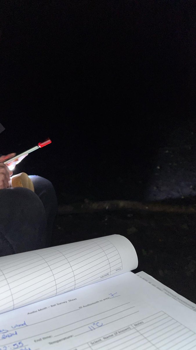 HartpuryUniAnAg's tweet photo. What we do for science! Currently one of our staff @ivanaschork is sitting in one of our @Hartpury campus #ancientwoodlands undertaking some #bat surveys. Part of a bigger research project using #audiomoths #bioacoistics to survey our #farmland landscape #biodiversity https://t.co/Q9PkDj3vso