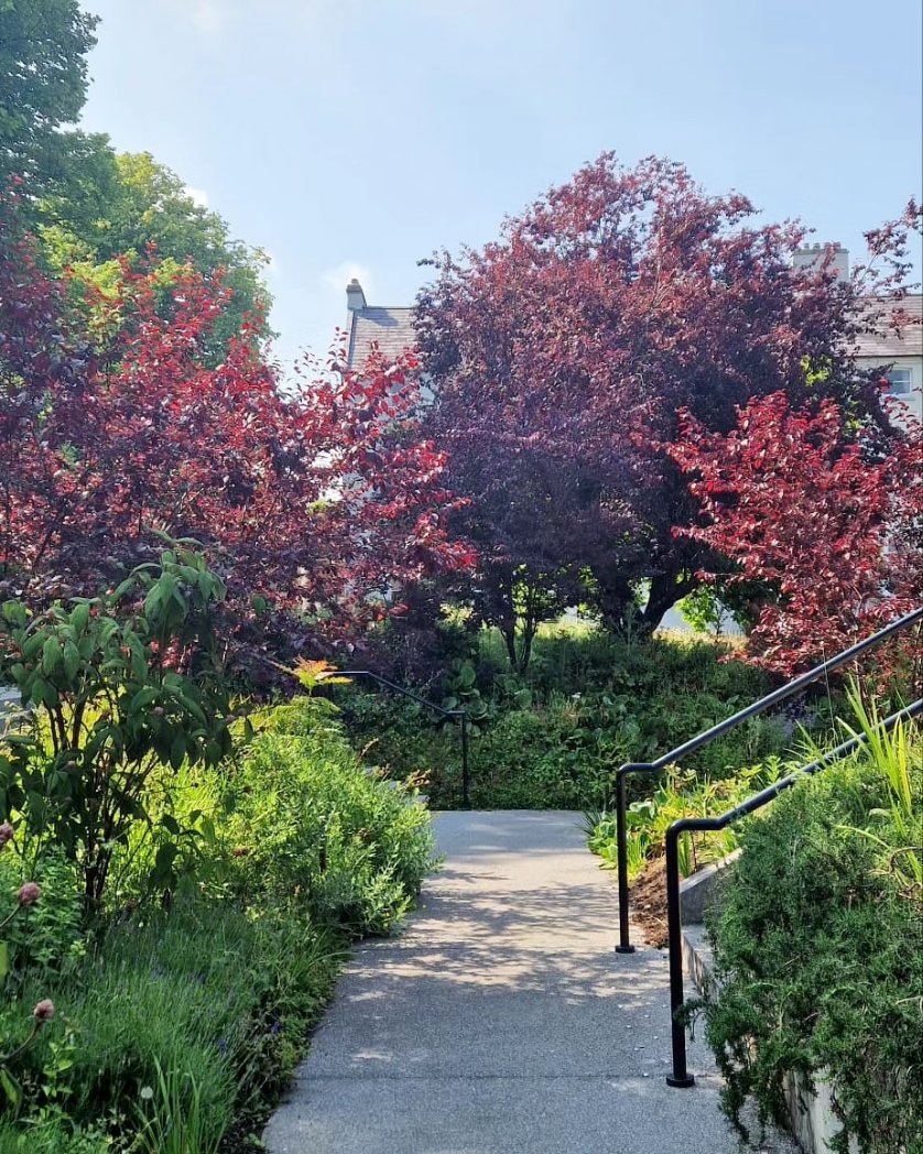 How do you spend your lunch breaks Cork City?

We're a short 5 min walk from the city centre but miles away in nature 🌳🌿

Walk ins are always welcome + although the word out there is that we're usually fully booked, we almost always have space in summer w our outdoor tables ☀️