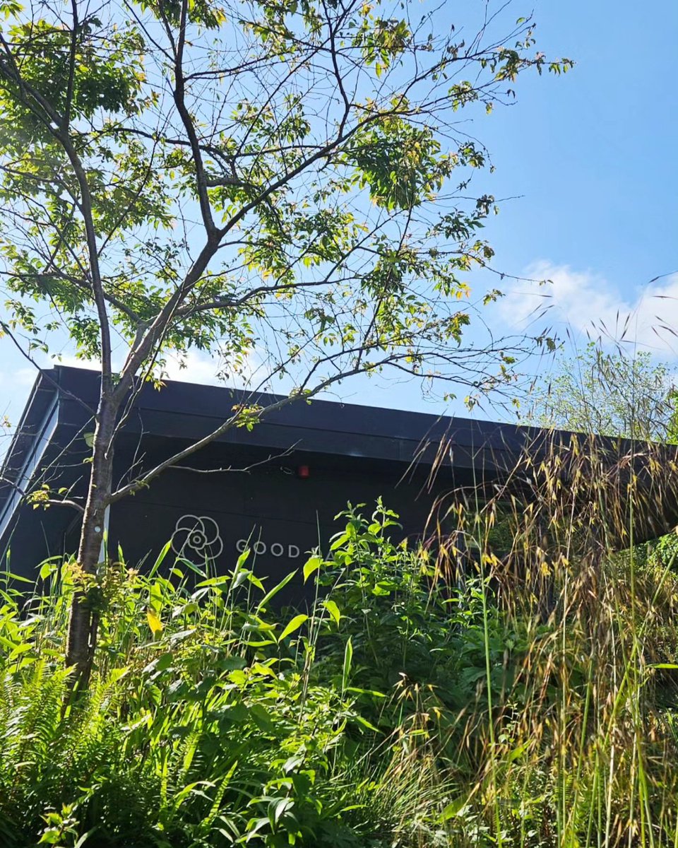 Good Day Deli tweet media