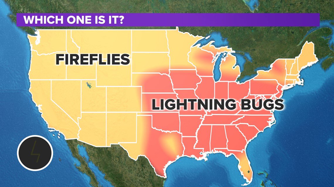 Real Midwesterners say lightning bugs not fireflies