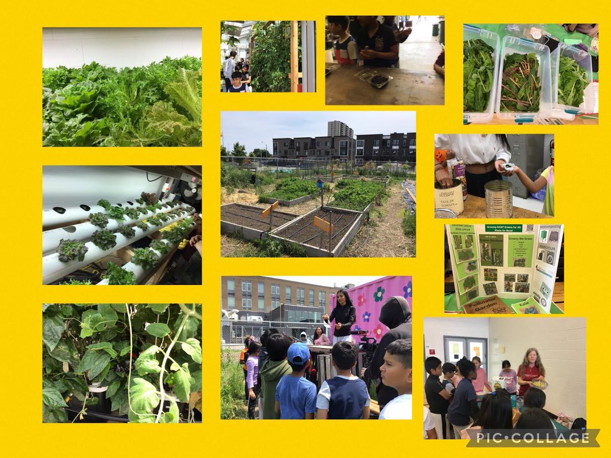 Great day of sharing and learning <a href="/DMT_urbanfarm/">Thomson Urban Farm</a>. Thanks to <a href="/EcoSchoolsTDSB/">TDSB EcoSchools</a> <a href="/TheOLStore/">The Outdoor Learning School & Store</a> <a href="/Squirm/">Cathy Nesbitt</a> <a href="/AgScapeON/">AgScape</a> <a href="/TDSBLibrary/">TDSB Library Learning Resources</a> and Earth Culture for supporting this event!. Students leaders who led the stations and helped get organized were awesome! <a href="/TDSB_CCEL/">TDSB CCEL</a>