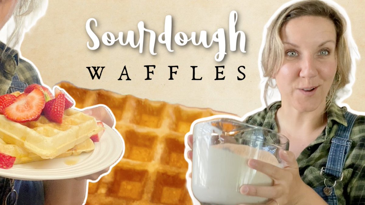 An all new recipe is up on my channel! SOURDOUGH WAFFLES ~ I hope you enjoy! #Sourdough youtube.com/watch?v=VMwQgJ…