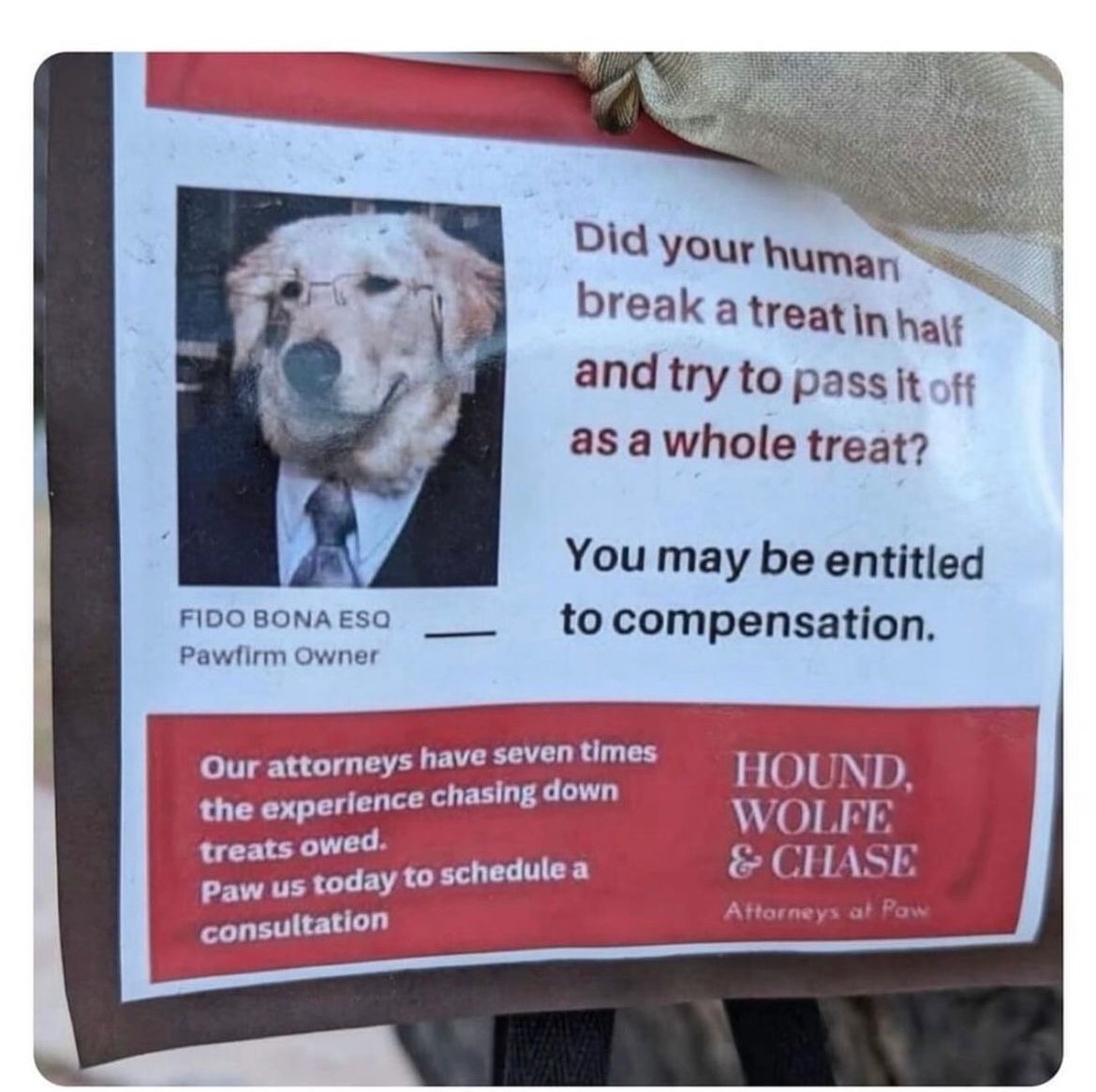 RespectfulMemes's tweet image. 