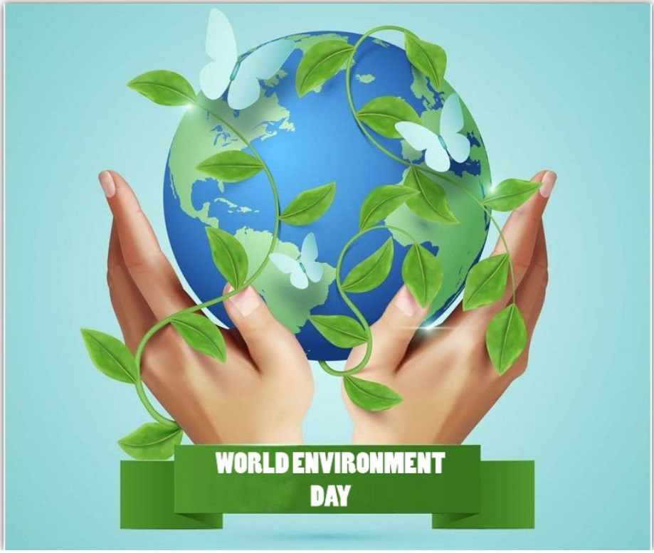 Monaco Beach tweet media