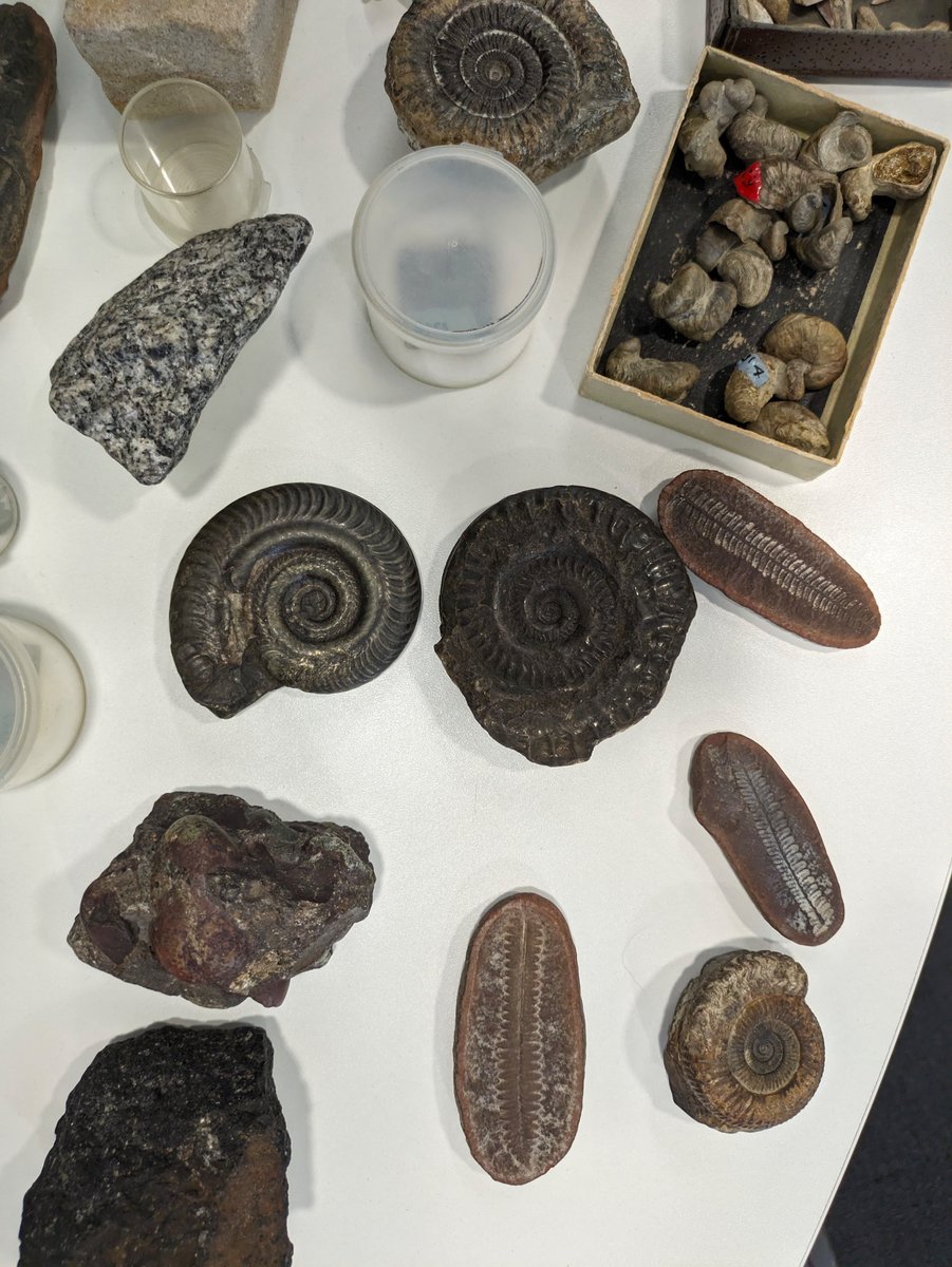 Excellent weekend showcasing #earthquakes, #rocks &amp; #fossils at the <a href="/TechFestNews/">TechFest</a> Activity Weekend <a href="/RobertGordonUni/">Robert Gordon University (RGU)</a>. Over 3500 people visited in 2 days!    Inspirational work by <a href="/ATBrasier/">Alex Brasier</a> <a href="/synrif/">Rifky Wijanarko</a> <a href="/sophiakibaker/">Sophia Baker</a>, Dan Pratt, Alex O'Donnell <a href="/abdngeology/">Aberdeen Geology & Geophysics</a> <a href="/aberdeenuni/">University of Aberdeen</a> #outreach