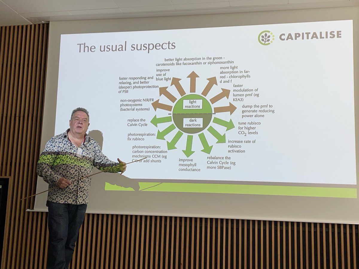 CAPITALISE-H2020 tweet media