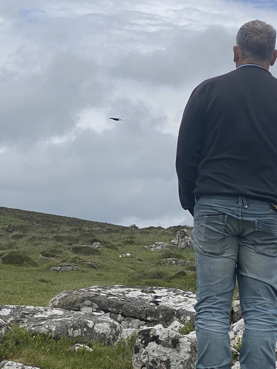 Derek Gow tweet media