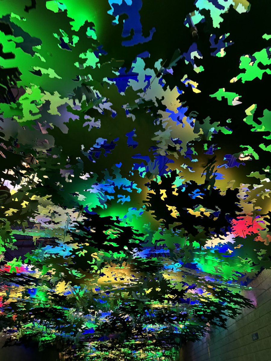 Melanie Crissey tweet media