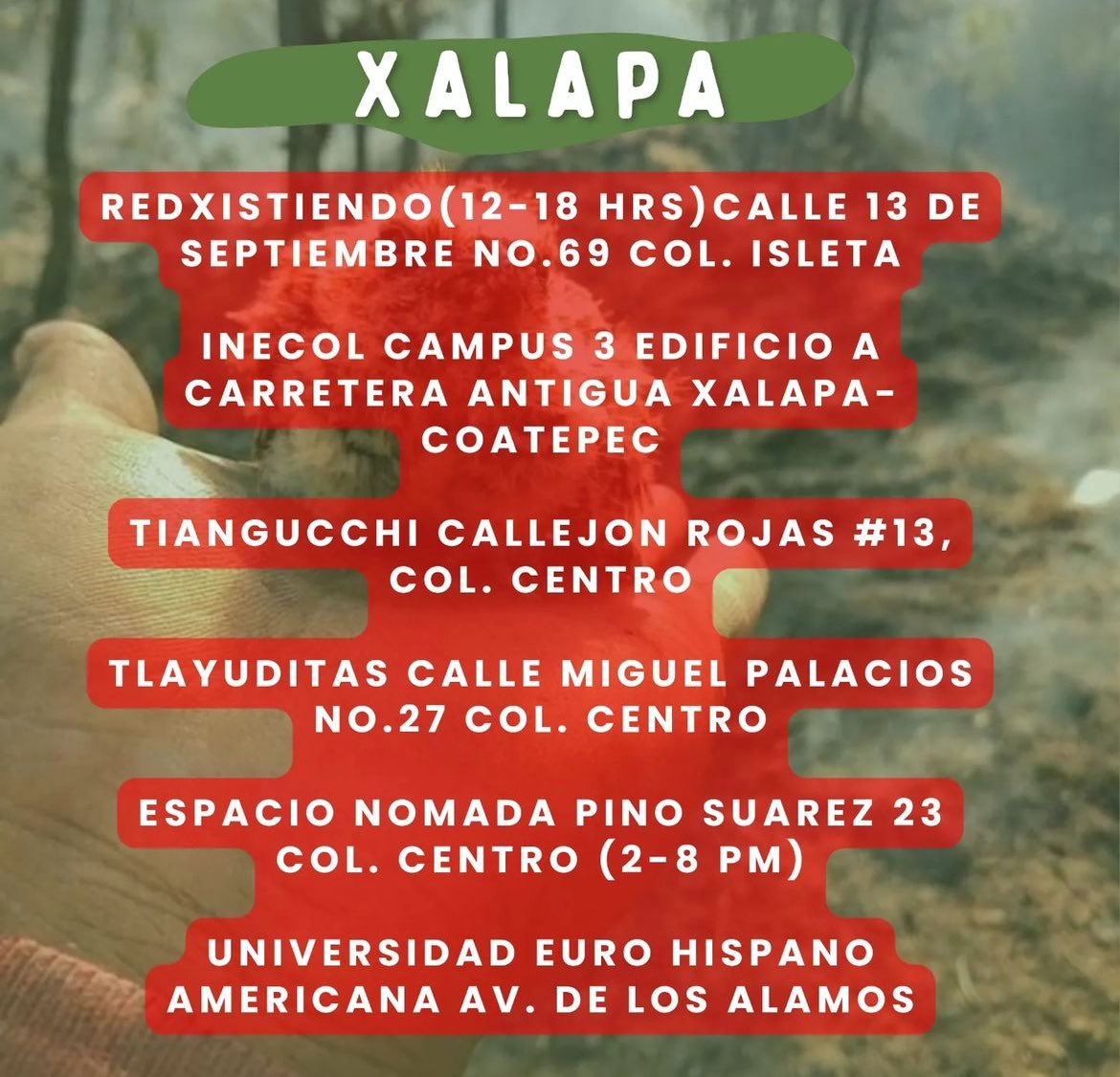 Amistades, yo sé que tengo seguidores de enorme corazón y sensibilidad, para ellxs este mensaje: 

Los incendios están devorando las montañas de la región Coatepec y de Orizaba, Veracruz. La situación es incontrolable por el calor y la crisis hídrica. Necesitamos de su ayuda: