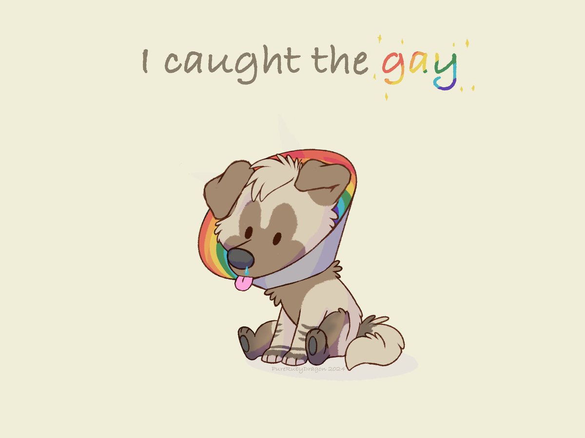 Labraderp tweet media