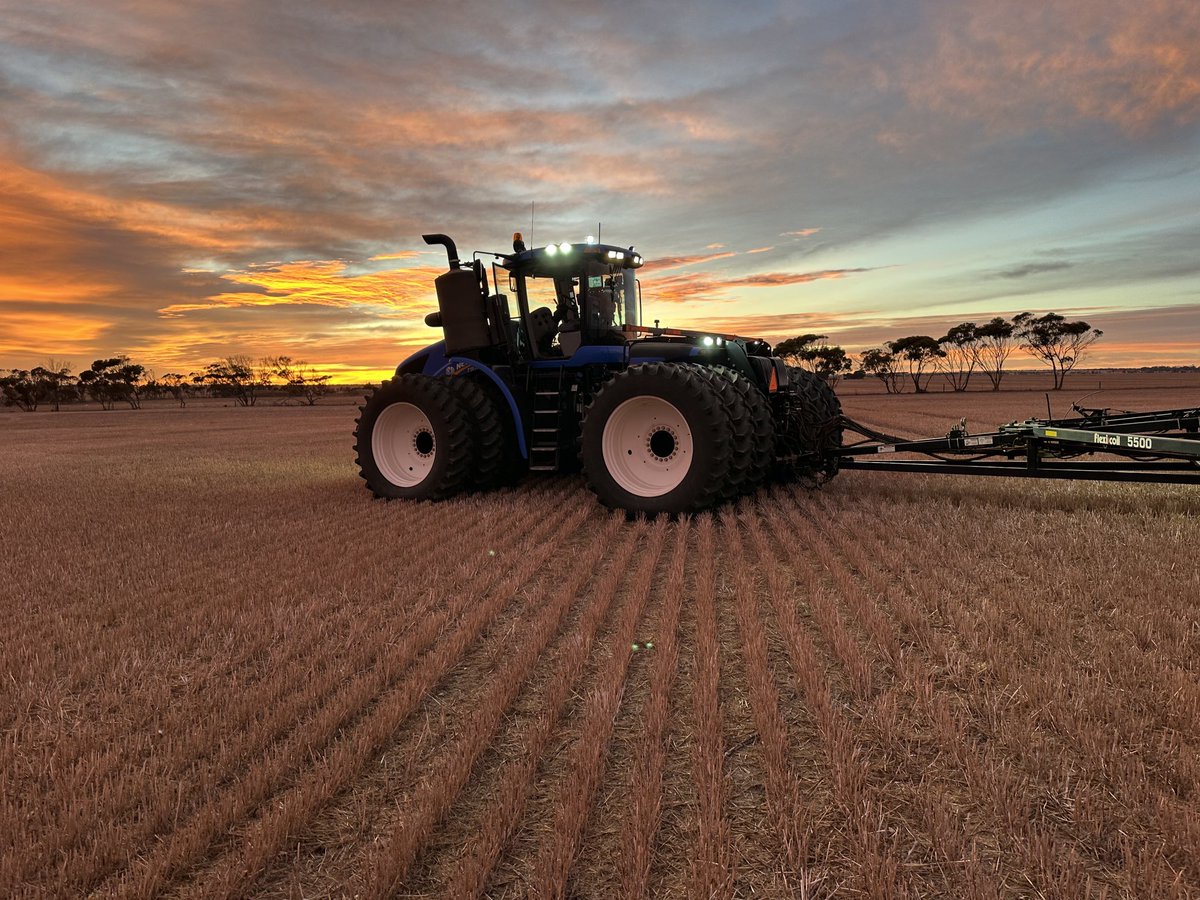 David Correll tweet media