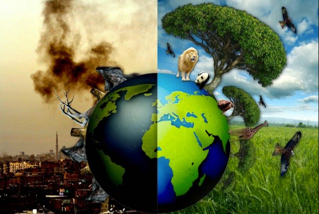 Kumar_SandeepEG's tweet photo. जितनी तत्परता से लोग चुनाव को लेकर उत्साहित थे.....
अगर 1% तत्परता से सरकार और लोग पर्यावरण का चिंता करते तो 
इतनी मौते नही होती......
पेड़ लगाओ पृथ्वी बचाओ..... https://t.co/LNb8rmNRjd