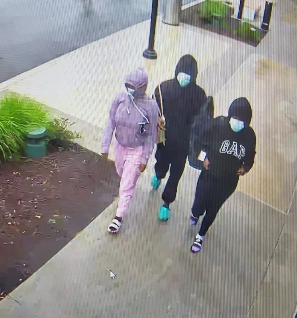 Collin Rugg tweet media