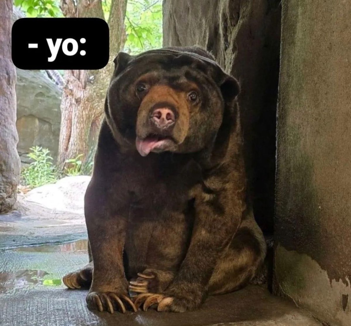 Es_innombrable's tweet photo. - Ella: ¡¿Estas pendejo o que?! https://t.co/a2sLpBg8EB