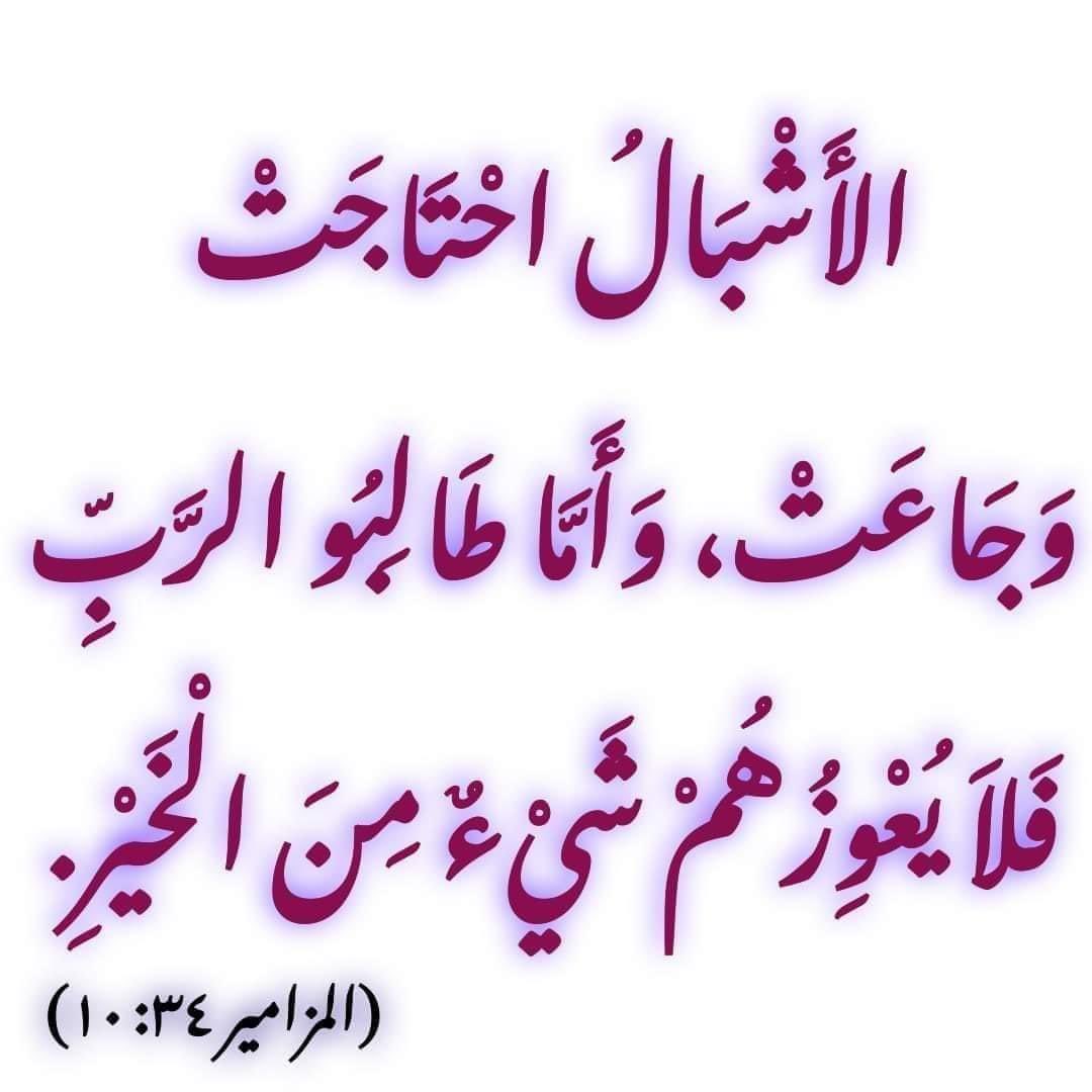 صباح الشبع الالهي لحياتكم احبائي 🙏🌹🌴