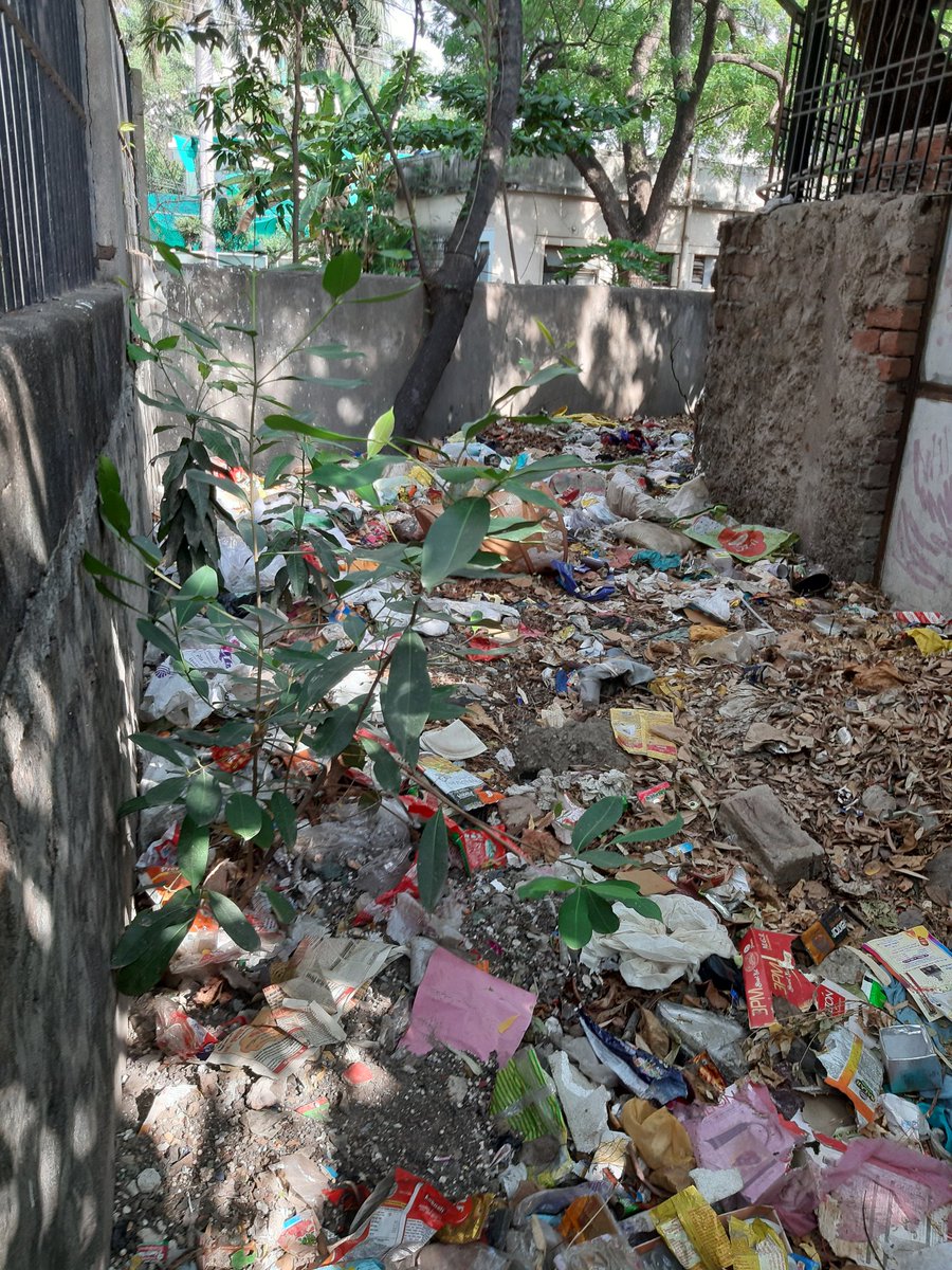 _saurabhpathak's tweet photo. कुछ और तस्वीरे ... #swachhindore @iShankarLalwani @narendramodi @CMMadhyaPradesh @KailashOnline https://t.co/NSEXcFUAxw