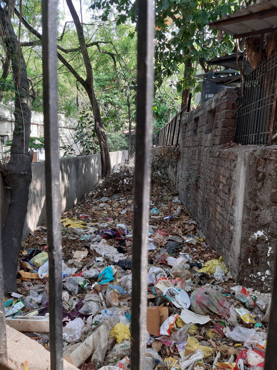_saurabhpathak's tweet photo. कुछ और तस्वीरे ... #swachhindore @iShankarLalwani @narendramodi @CMMadhyaPradesh @KailashOnline https://t.co/NSEXcFUAxw
