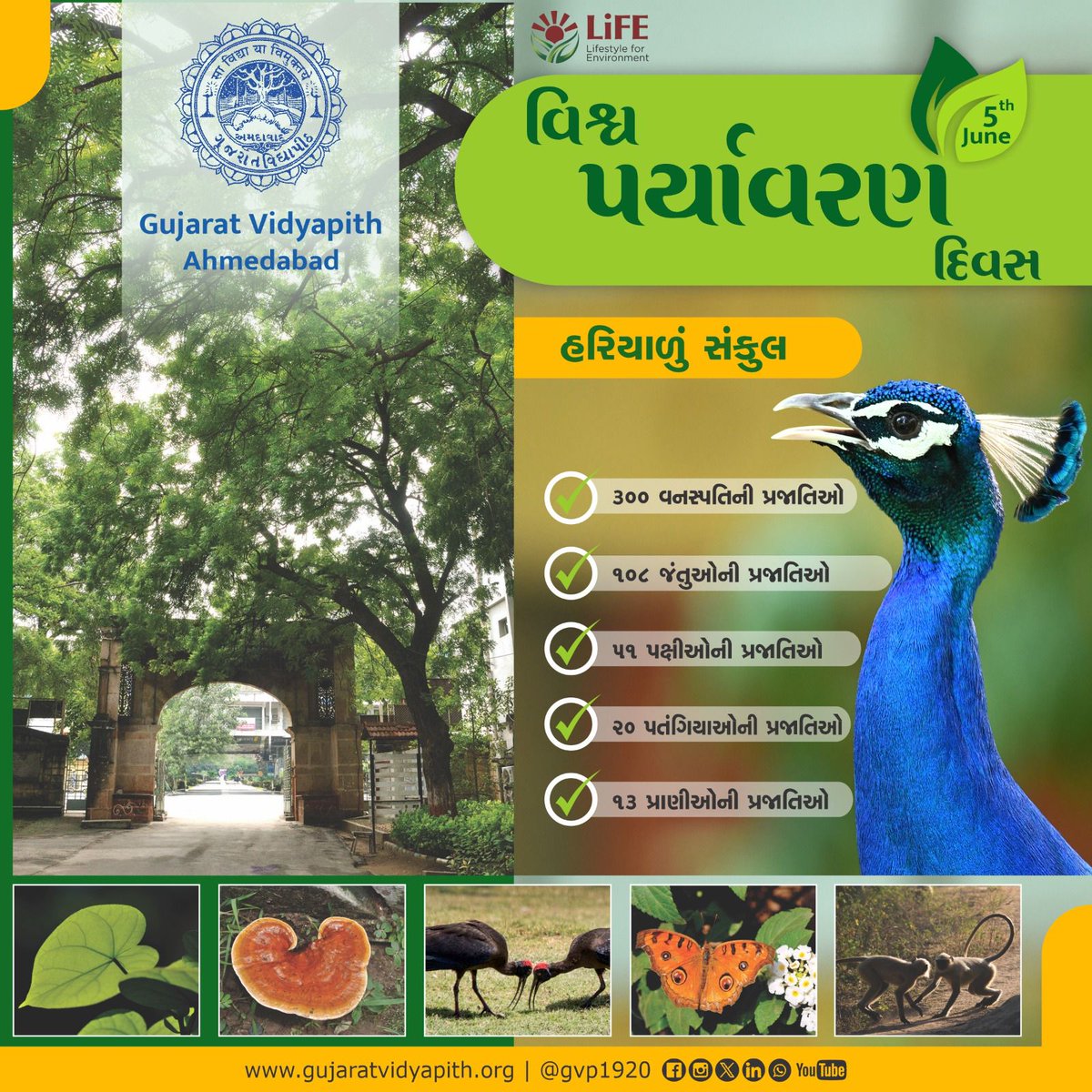 gvp1920's tweet photo. Happy World Environment Day! 🌿🌍
Today, we celebrate the rich biodiversity that thrives on the beautiful campus.
Join us in our commitment to protecting the environment for generations to come.
@ADevvrat
@harshad5350
@EduMinOfIndia
@ugc_india
#WorldEnvionmentDay https://t.co/LwVO0ZCoJb