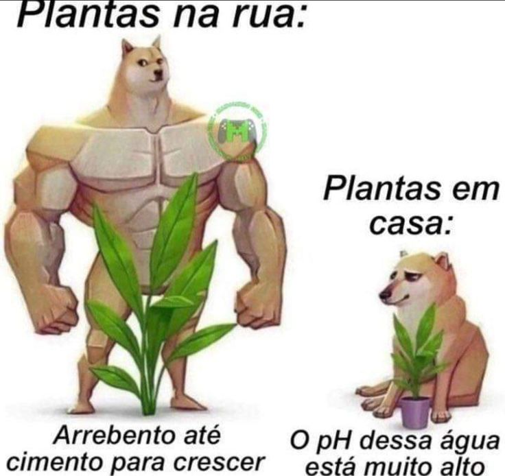 TerrorCotidiano's tweet photo. https://t.co/8GkTCk7fkT